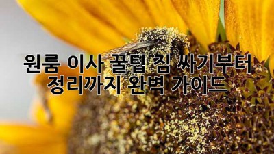 원룸 이사 꿀팁🍯: 짐 싸기부터 정리까지 완벽 가이드! 📦✨