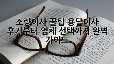 소량이사 꿀팁🍯 용달이사 후기부터 업체 선택까지 완벽 가이드!