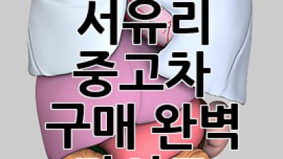 화순 서유리 중고차 구매 완벽 가이드